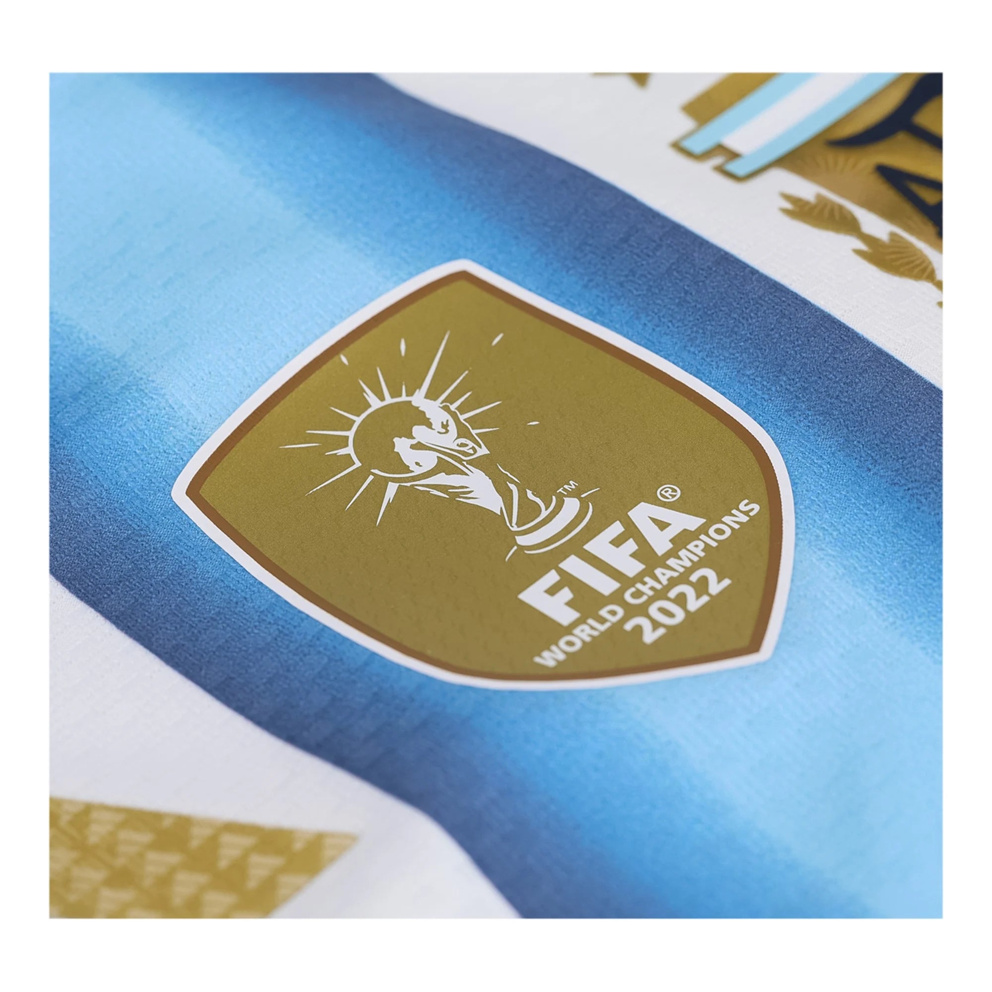 Lionel Messi #10 Argentina 2026 World Cup Jersey – Authentic Player Match Edition
