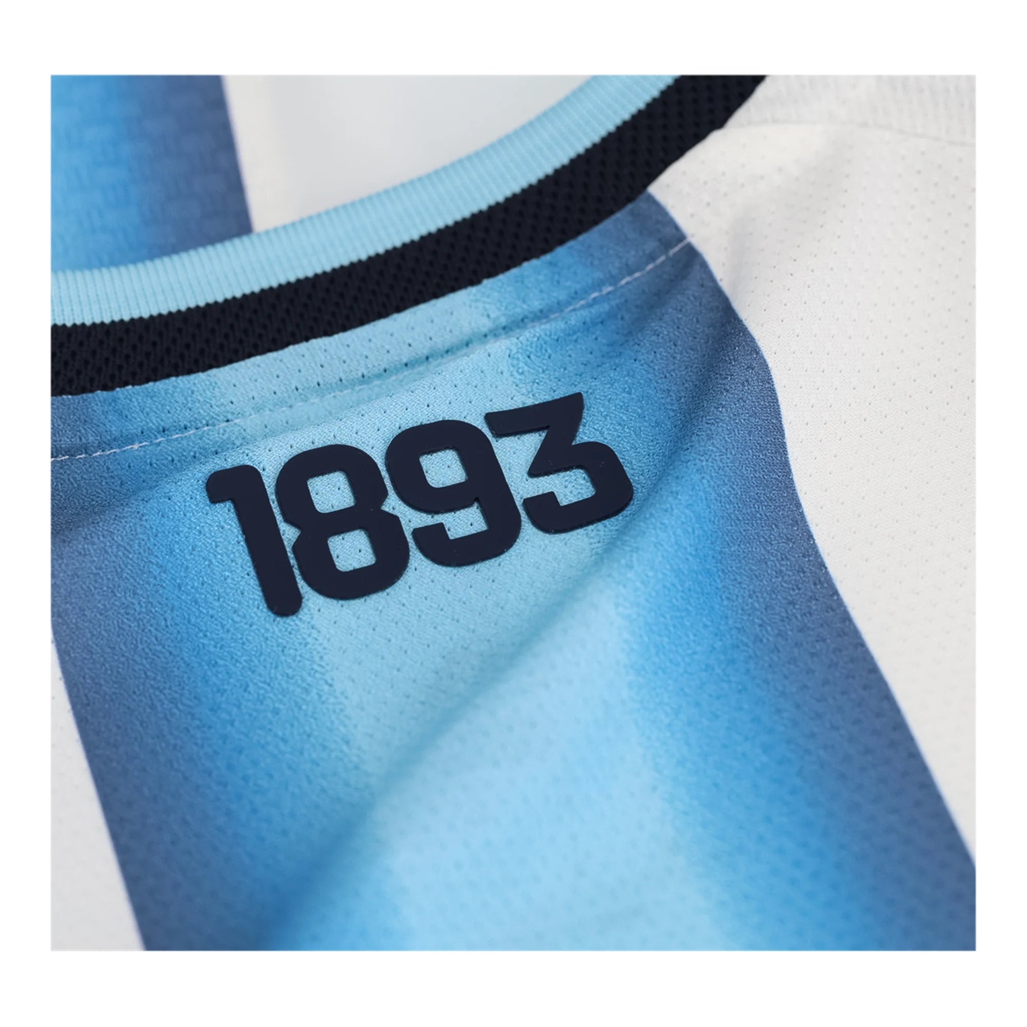 Lionel Messi #10 Argentina 2026 World Cup Jersey – Authentic Player Match Edition